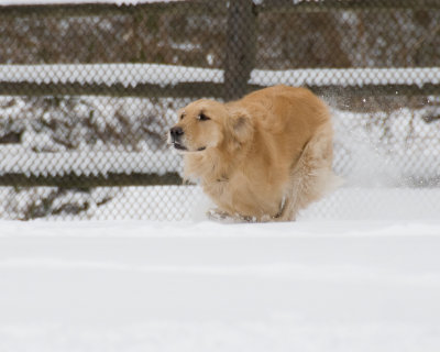 waveny_dec_2009_snow_storm
