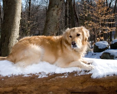 jan_2010_cranbury_park