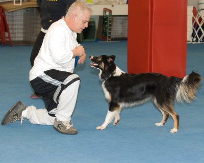 discdogclass_2010