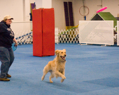 discdogclass_2010