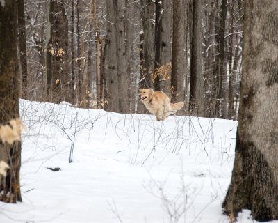 feb_2010_cranbury_park