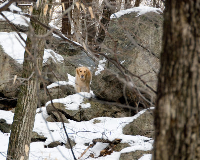 DSC_3818.jpg