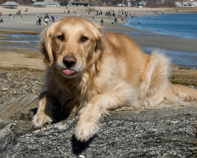 DSC_3995.jpg