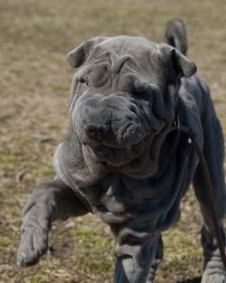 DSC_4033.jpg