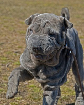 DSC_4033_02.jpg