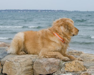 DSC_4269.jpg