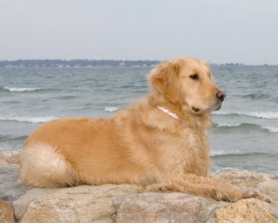 DSC_4276.jpg