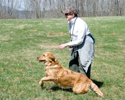 field_classes_2010