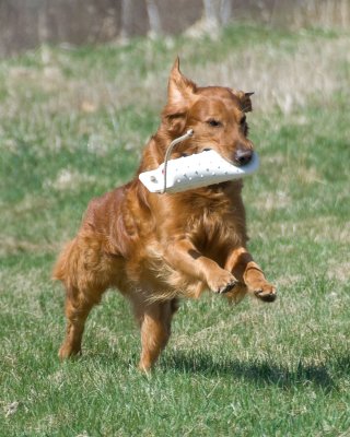 DSC_5022.jpg
