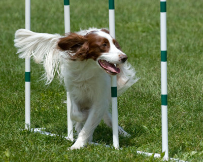 may_2010_trial
