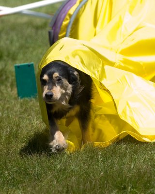 DSC_5556.jpg