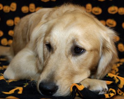 DSC_0018.jpg
