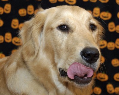 DSC_0031.jpg