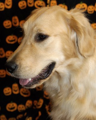 DSC_0075.jpg