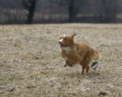 DSC_0040.jpg