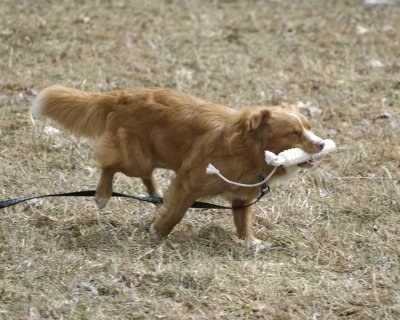 DSC_0043.jpg