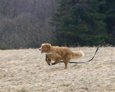 DSC_0049.jpg