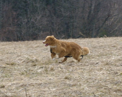 DSC_0050.jpg