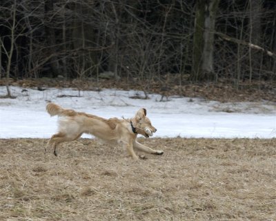 DSC_0060.jpg