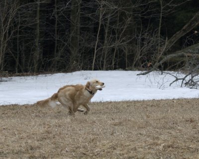 DSC_0062.jpg