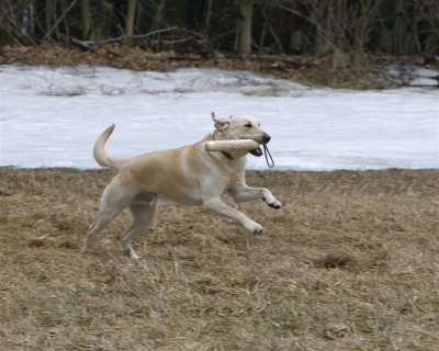 DSC_0074.jpg