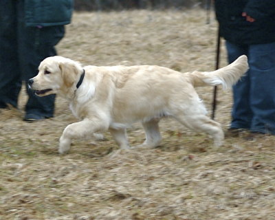 DSC_0103.jpg