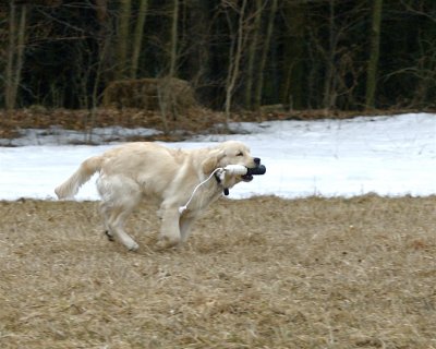 DSC_0107.jpg