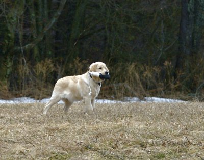 DSC_0108.jpg
