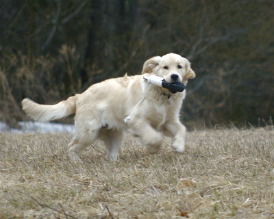 DSC_0110.jpg
