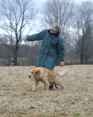 DSC_0119.jpg