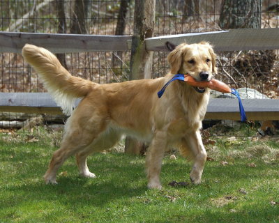 DSC_0089.jpg