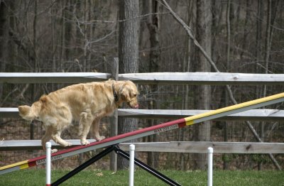 agility_fun