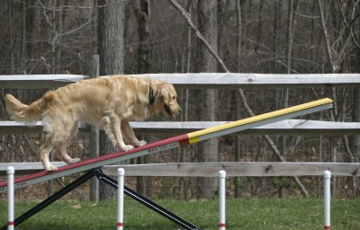 DSC_0044.jpg