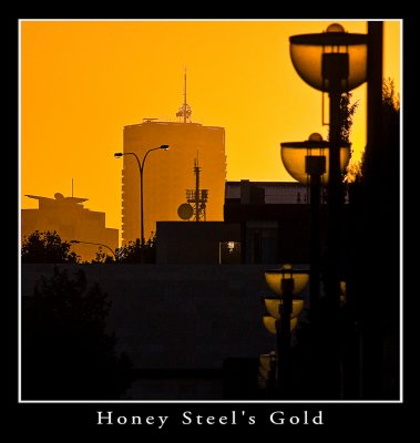 Honey Steel's Gold