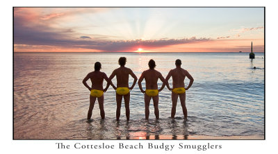 The Cottesloe Beach Budgy Smugglers