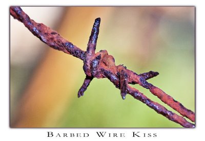 Barbed Wire Kiss