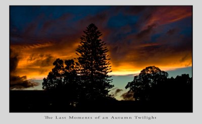 The Last Moments of  an Autumn Twilight