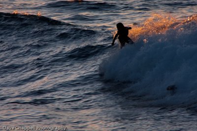 g3/25/741625/3/120895902.N2TJmPSd.jpg