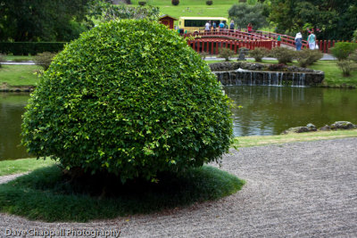 g3/25/741625/3/120896004.dt2raTY1.jpg