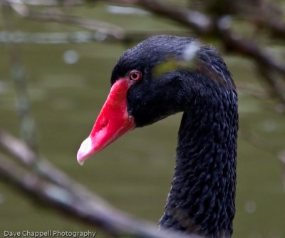 g3/25/741625/3/120896013.mr4sCIm8.jpg