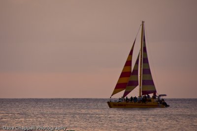 g3/25/741625/3/120896066.7dNF8CGy.jpg