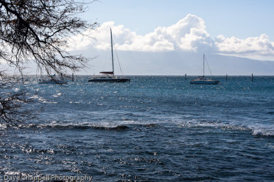 g3/25/741625/3/120896131.CAYx8kNQ.jpg