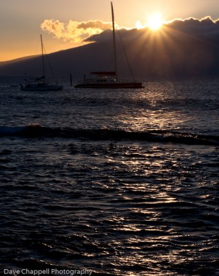 g3/25/741625/3/120896220.d8f0qjYX.jpg