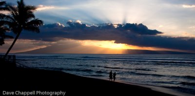 g3/25/741625/3/120896273.YD31gR34.jpg