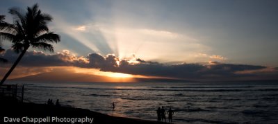 g3/25/741625/3/120896276.ydRKqq4E.jpg