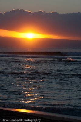 g3/25/741625/3/120896277.axnT23Q5.jpg