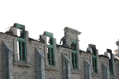 Mange militaire, 1885-2008