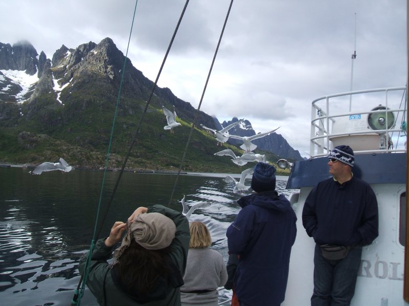 Lots of gulls accompanied the boat