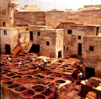 Tannery in Fez