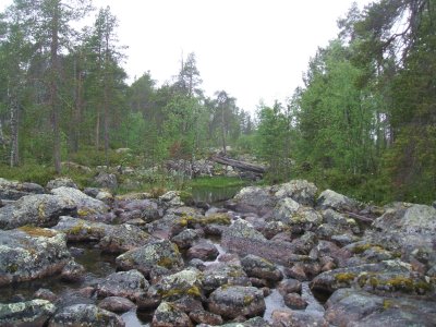 Rocks and forests